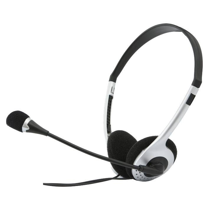 SVEN AP-010MV