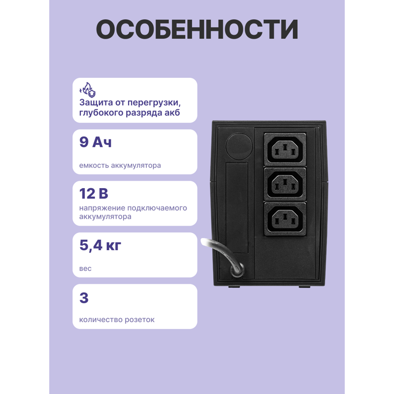 Powercom Raptor RPT-1000A IEC C13