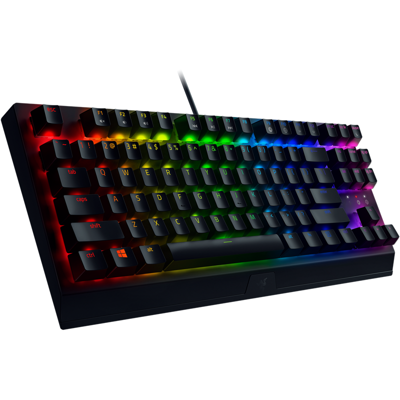 Razer BlackWidow V3 Tenkeyless