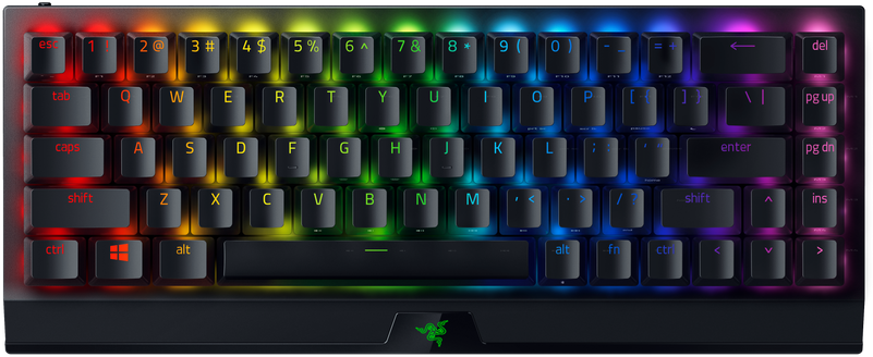 Razer BlackWidow V3 Mini