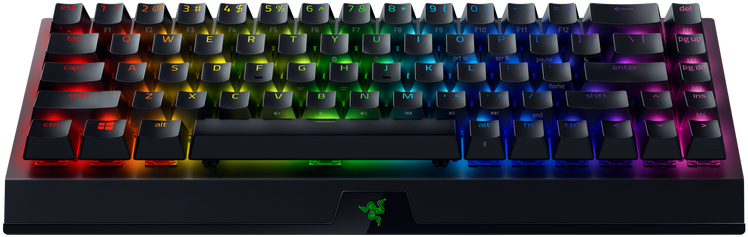 Razer BlackWidow V3 Mini
