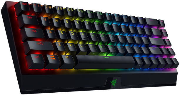 Razer BlackWidow V3 Mini