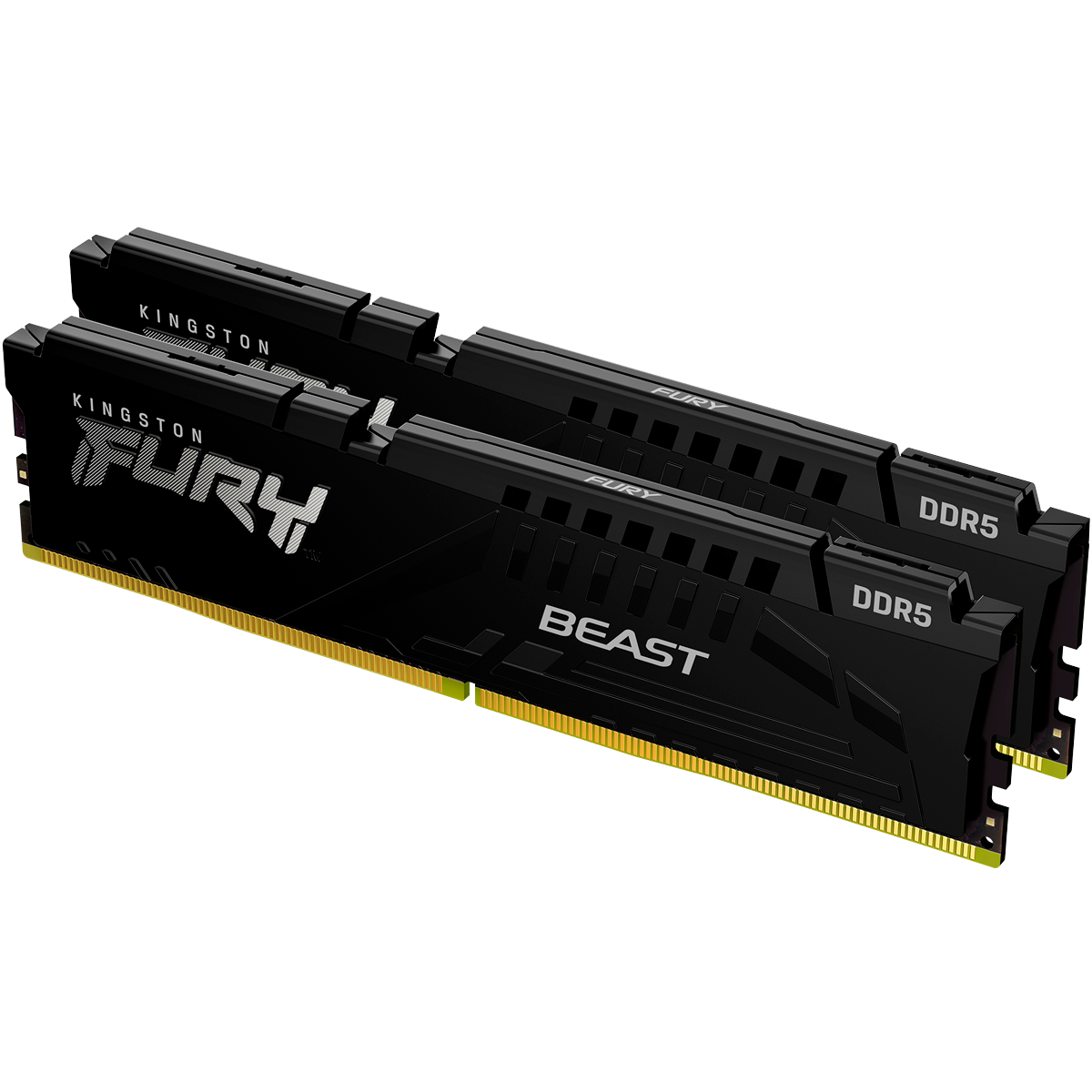 Kingston FURY Beast Black KF556C40BBK2-32