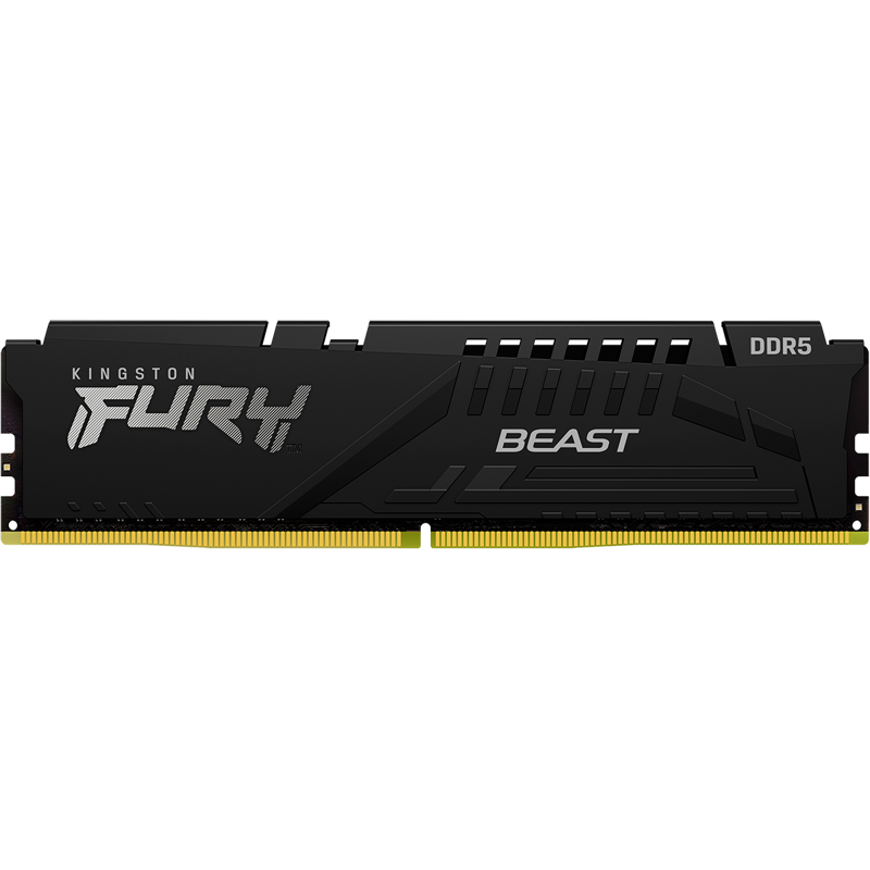 Kingston FURY Beast Black KF556C40BB-8