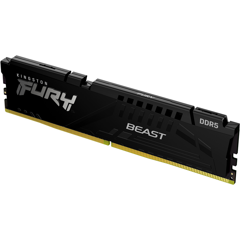Kingston FURY Beast Black KF556C40BB-8