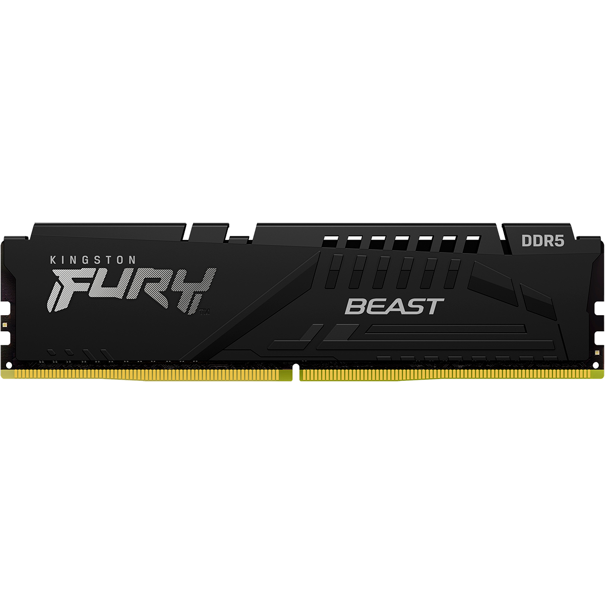 Kingston FURY Beast Black KF556C40BB-8