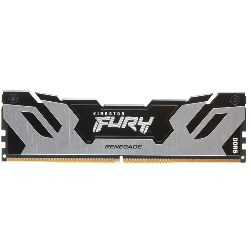 Kingston FURY Renegade Silver XMP