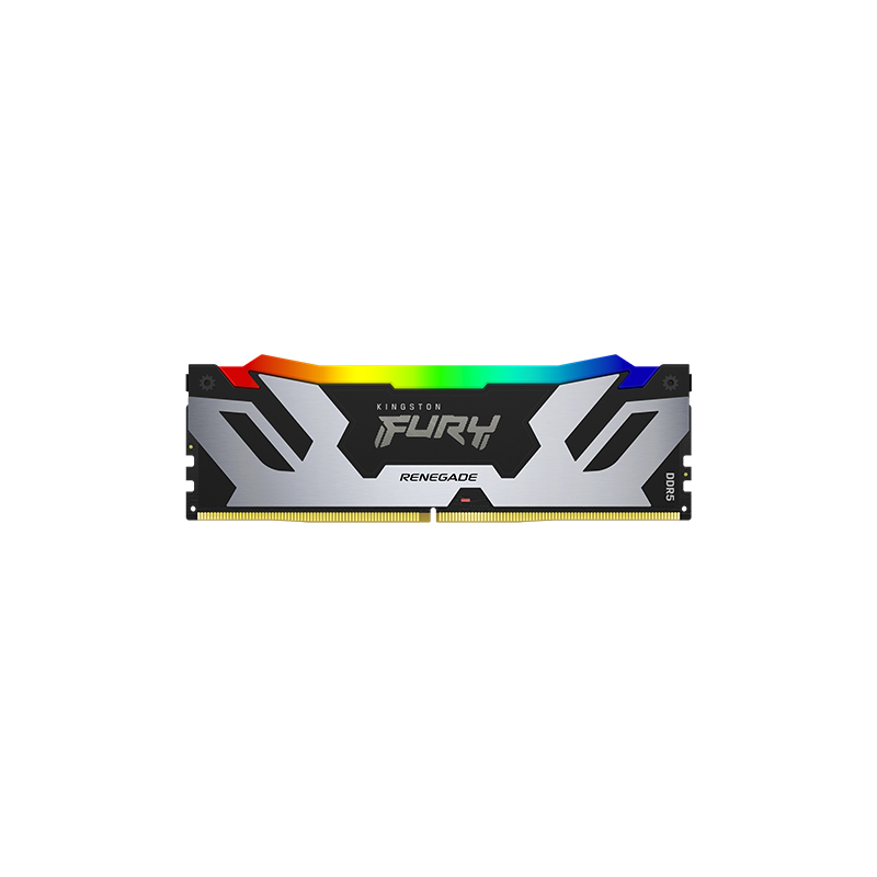 Kingston FURY Renegade Silver RGB XMP