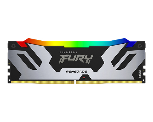 Kingston FURY Renegade Silver RGB XMP