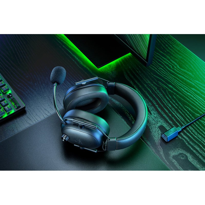 Razer RZ04-04960100-R3M1