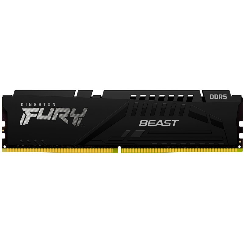 Kingston KF560C36BBE-8