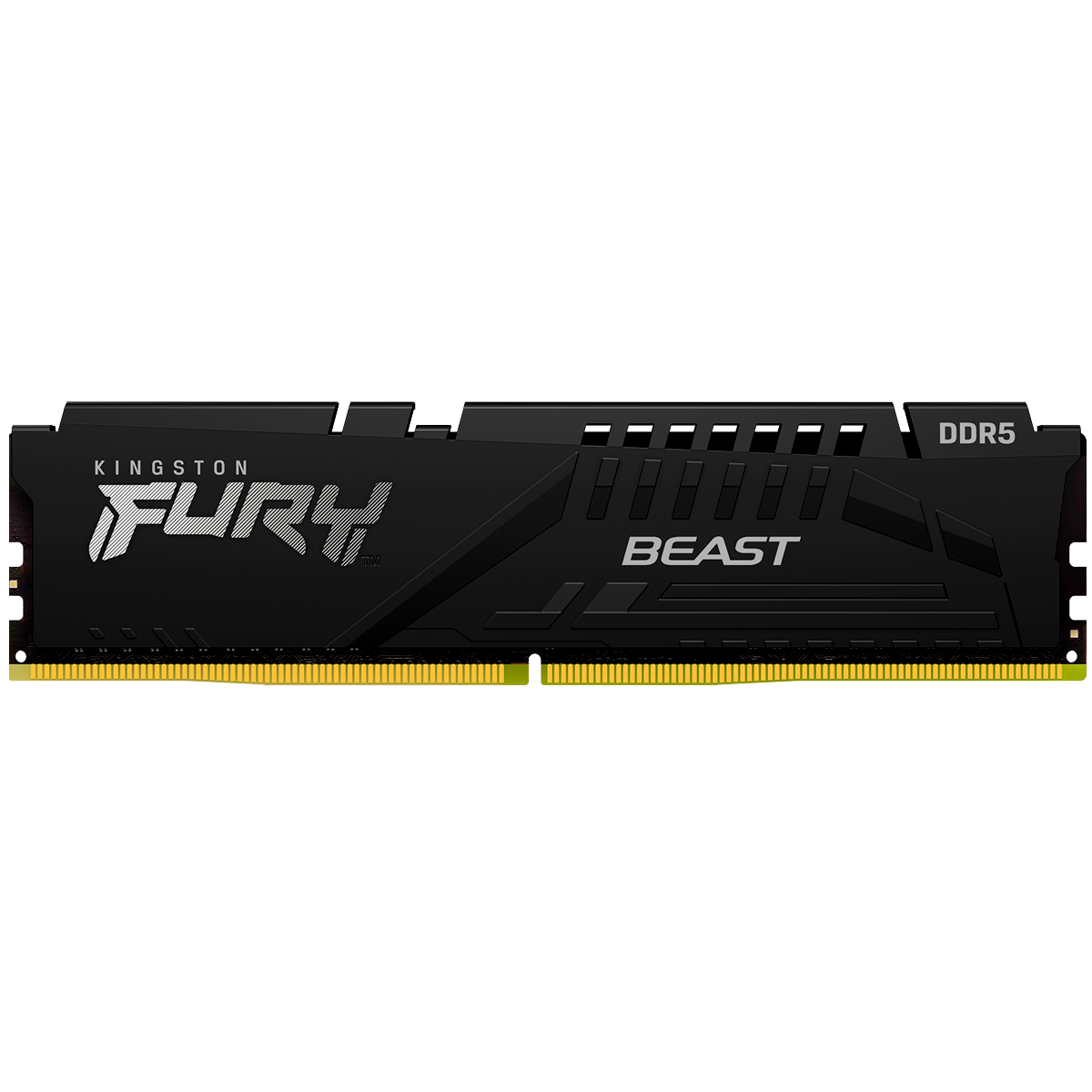 Kingston KF560C36BBE-8