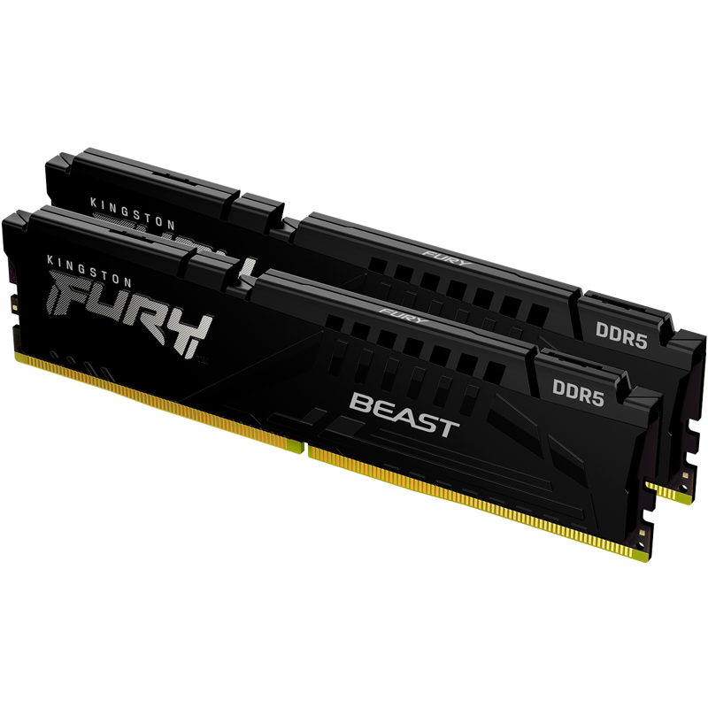 Kingston FURY Beast Black EXPO KF556C36BBEK2-32