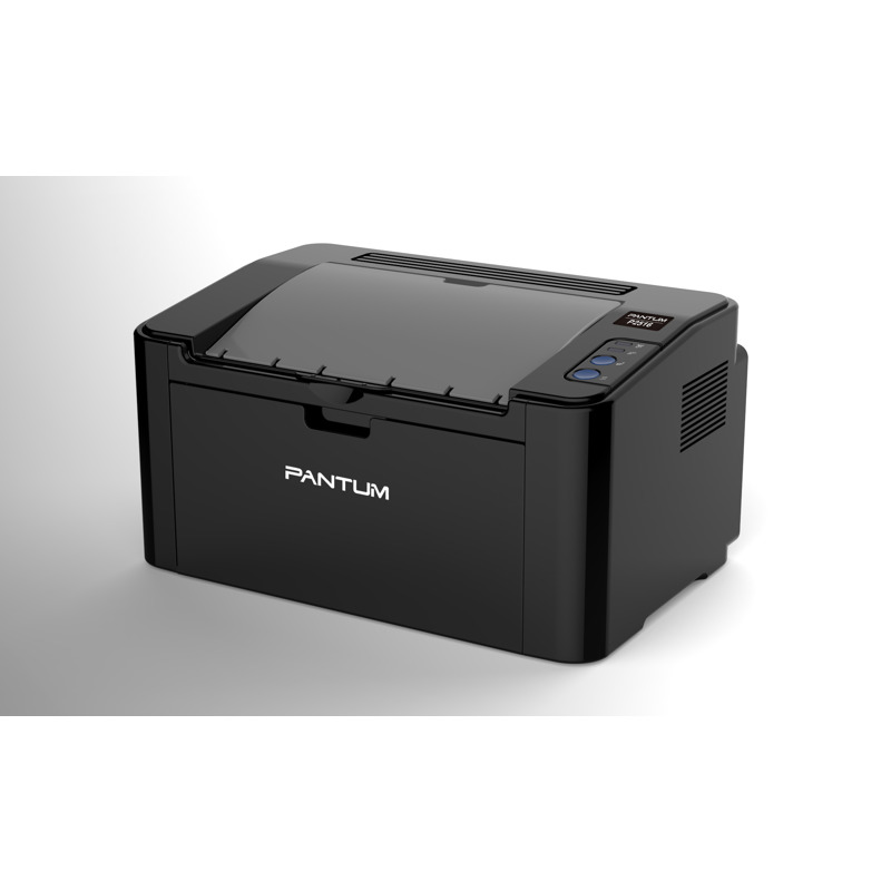 Pantum P2516