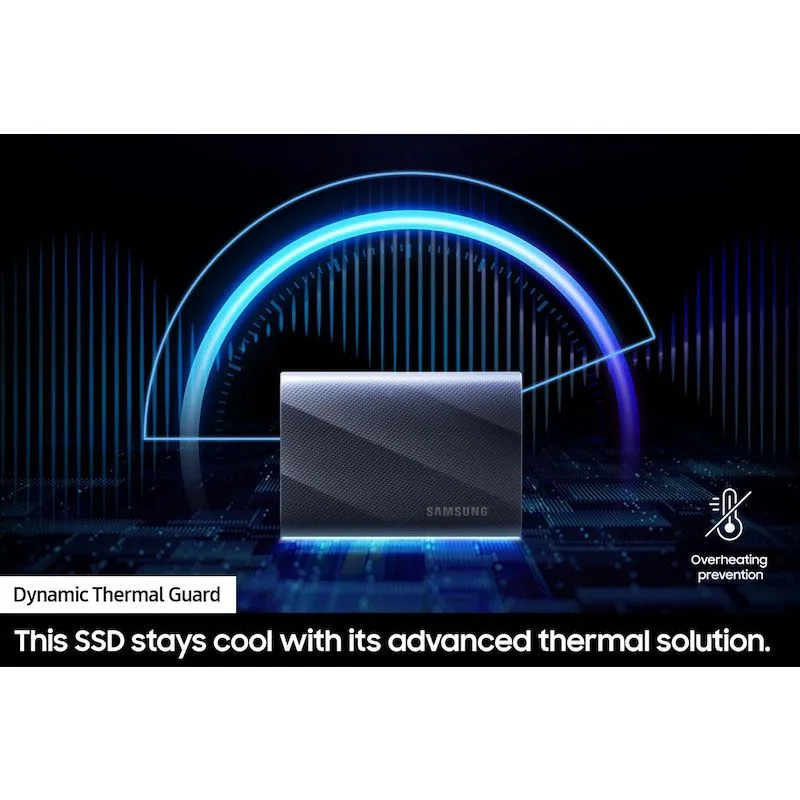Samsung Electronics MU-PG2T0B/WW