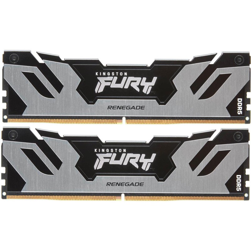 Kingston FURY Renegade Silver XMP KF560C32RSK2-96
