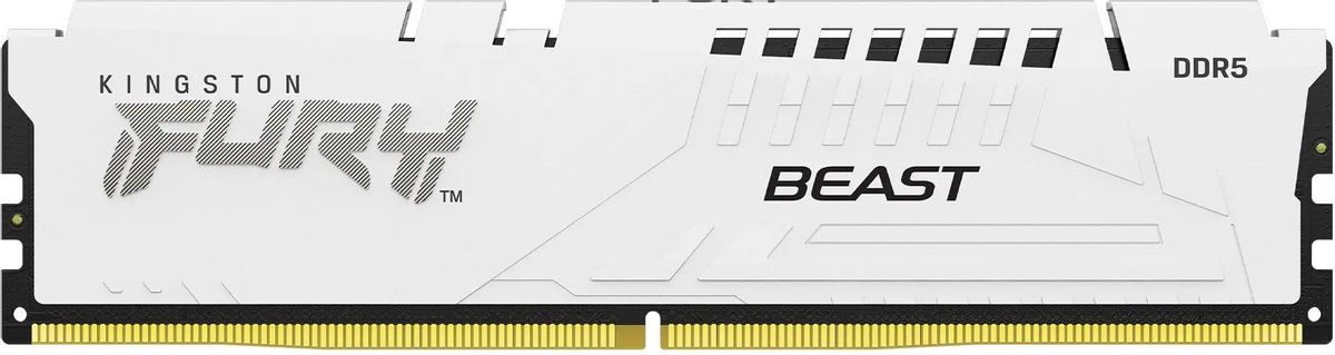 Kingston KF556C36BWE-16