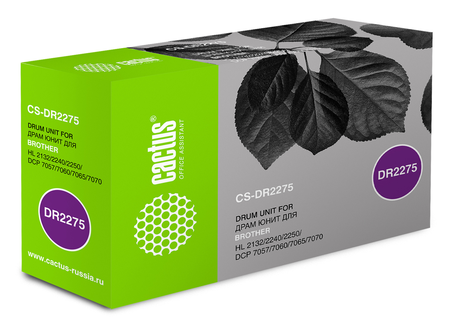 Cactus DR-2275 (CS-DR2275)