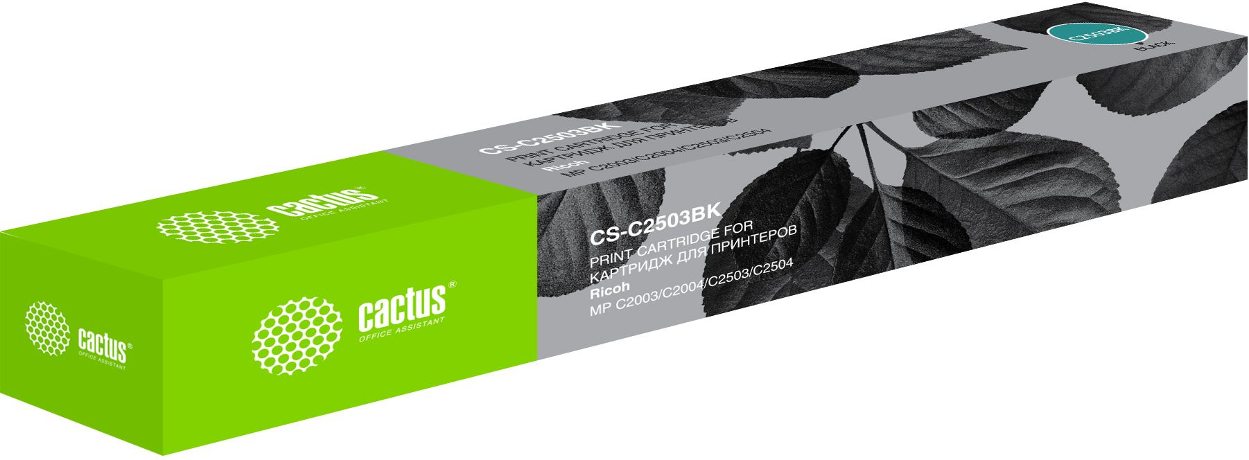 Cactus CS-C2503BK