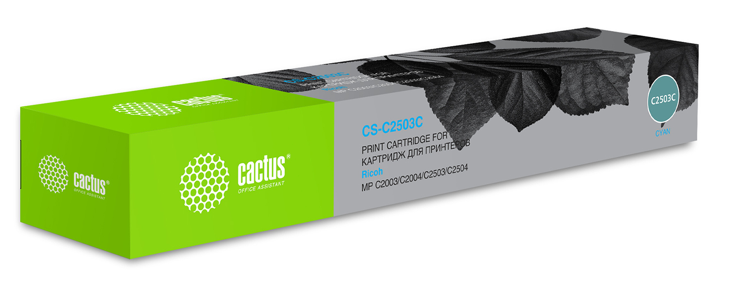 Cactus CS-C2503C
