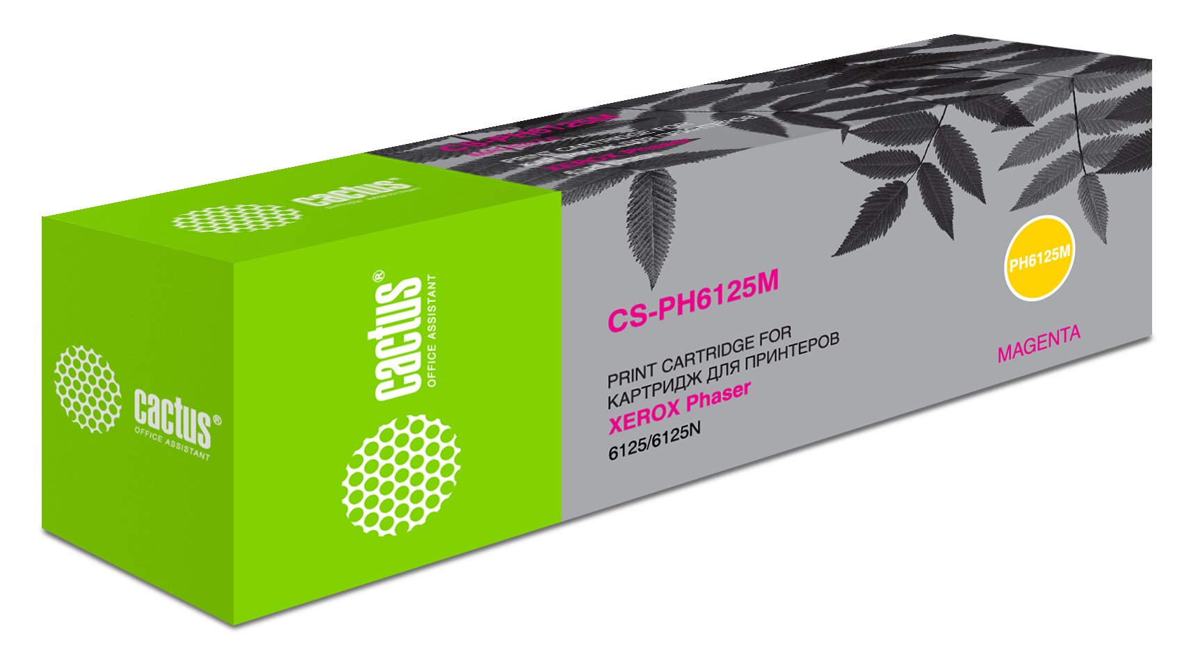 Cactus CS-PH6125M