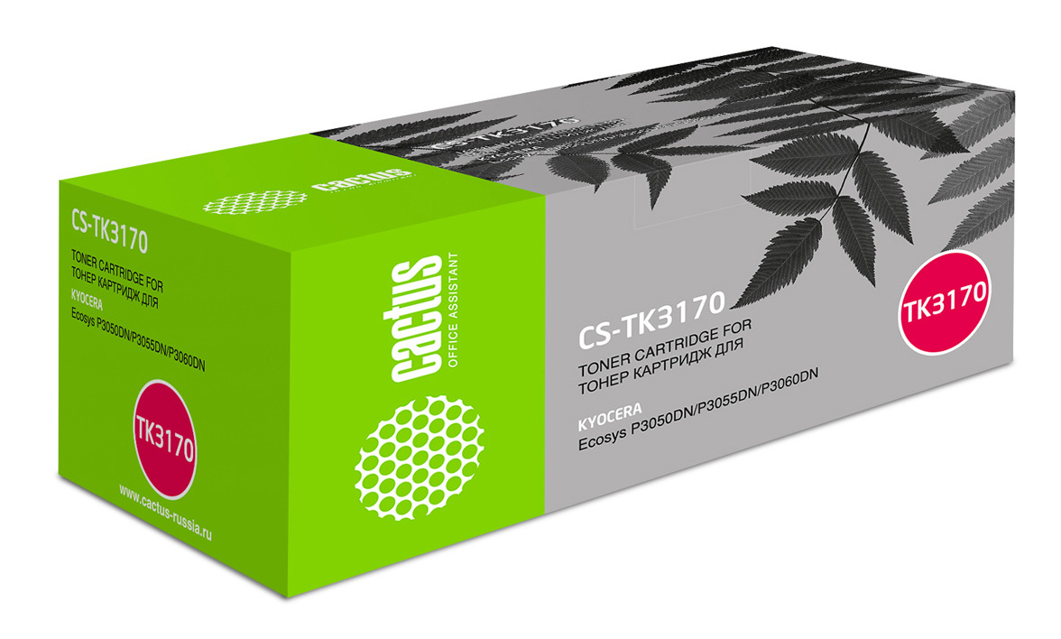 Cactus CS-TK3170