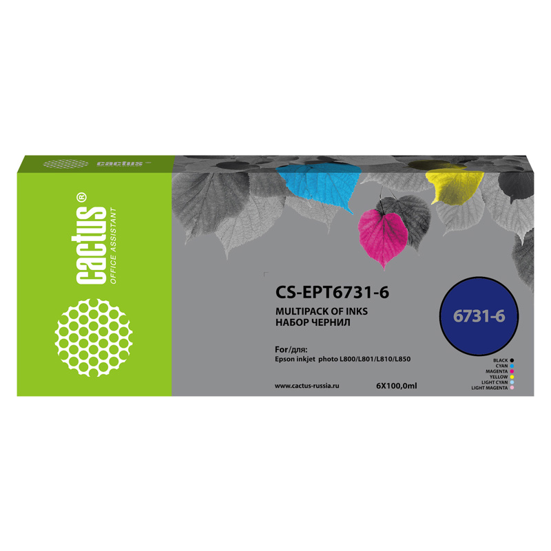 Cactus CS-EPT6731-6