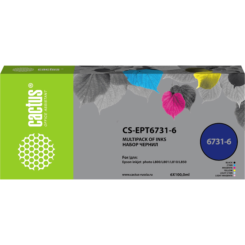 Cactus CS-EPT6731-6