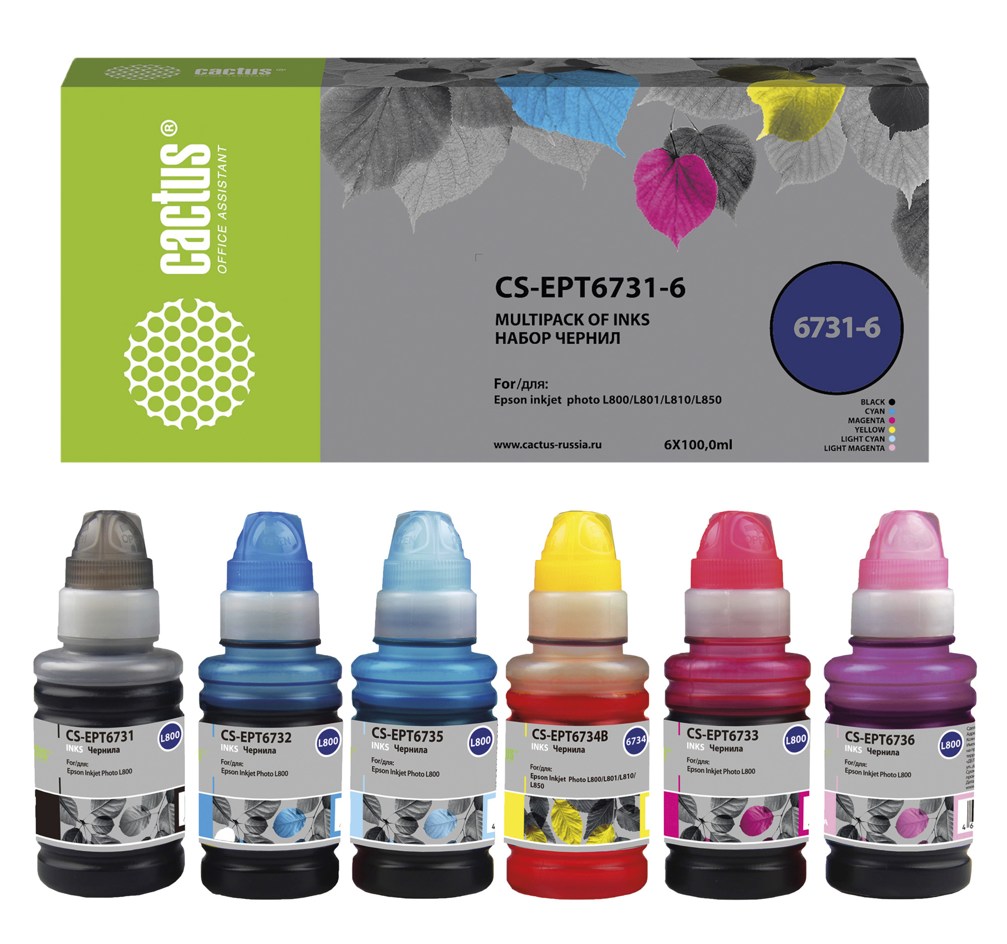 Cactus CS-EPT6731-6