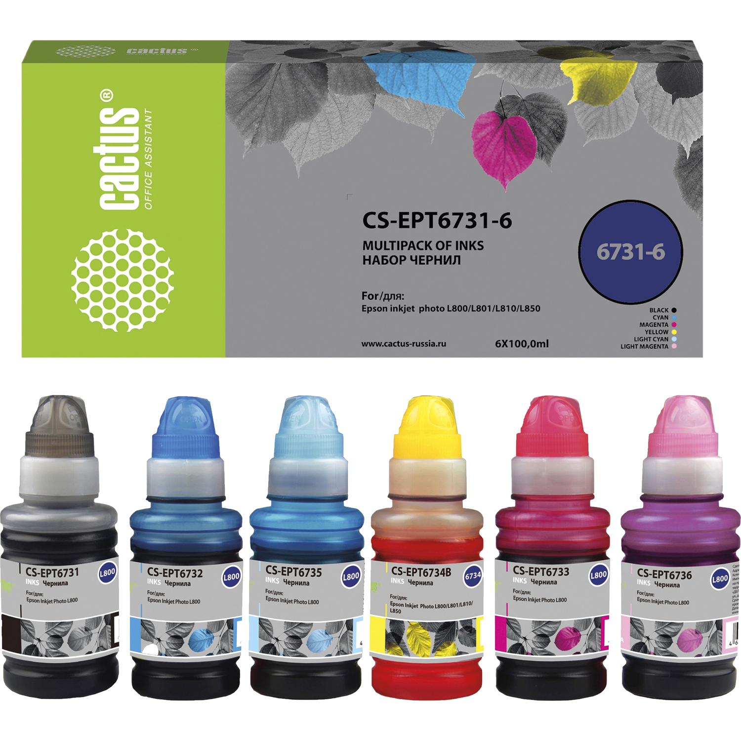 Cactus CS-EPT6731-6