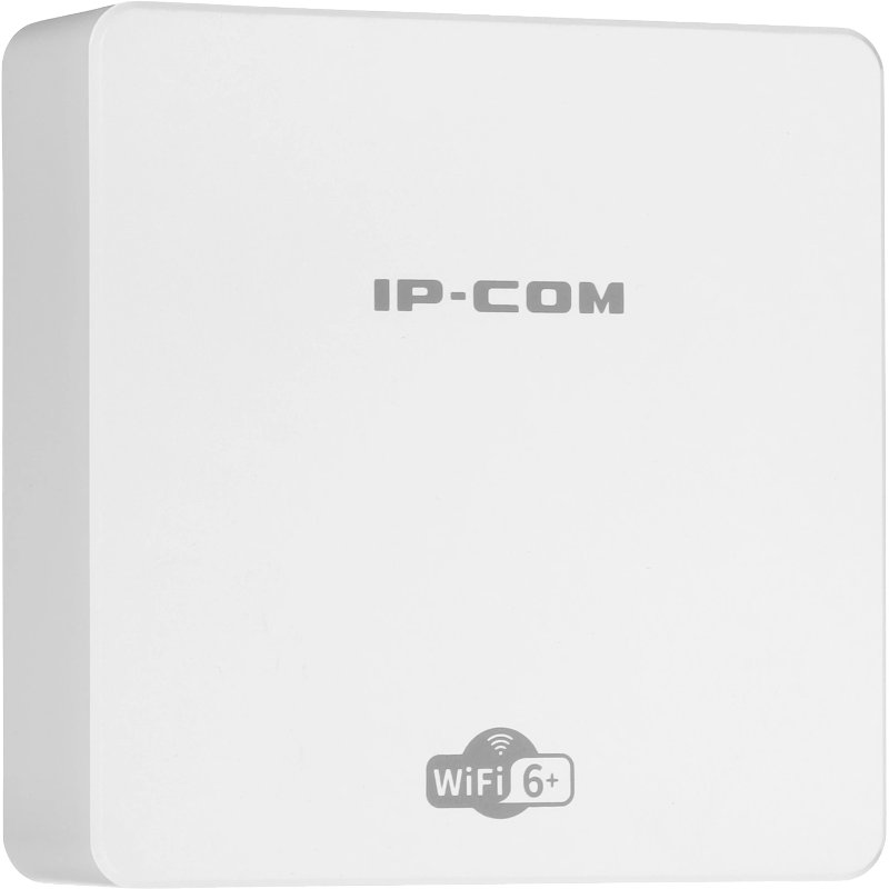 IP-COM Pro-6-IW