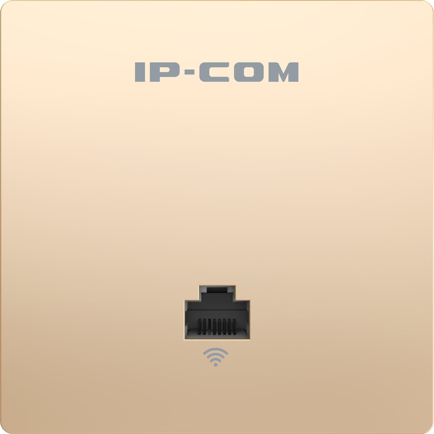 IP-COM W36AP