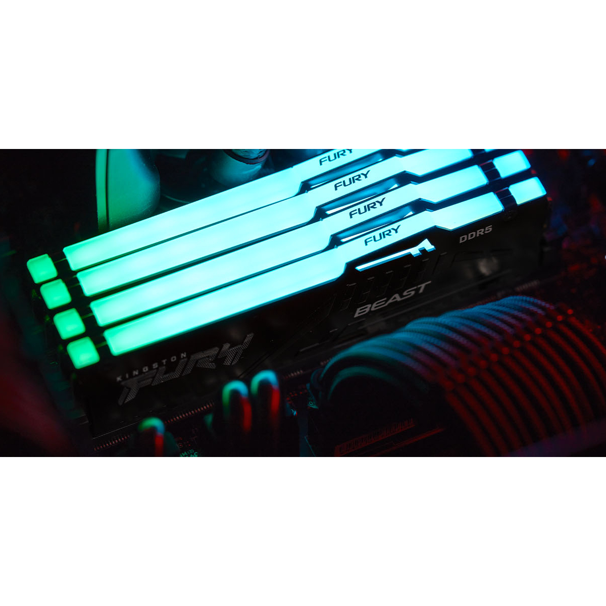 Kingston FURY Beast KF556C36BBEA-8