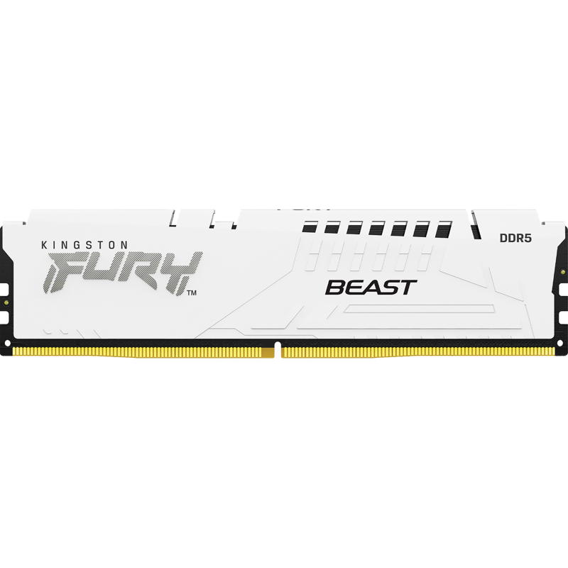 Kingston FURY Beast KF556C40BW-16