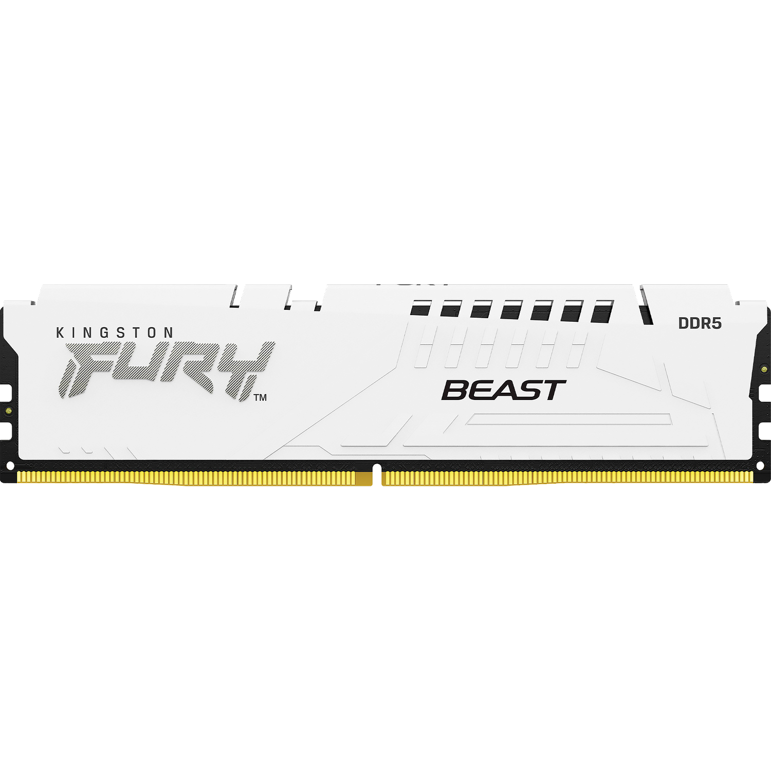 Kingston FURY Beast KF556C40BW-16