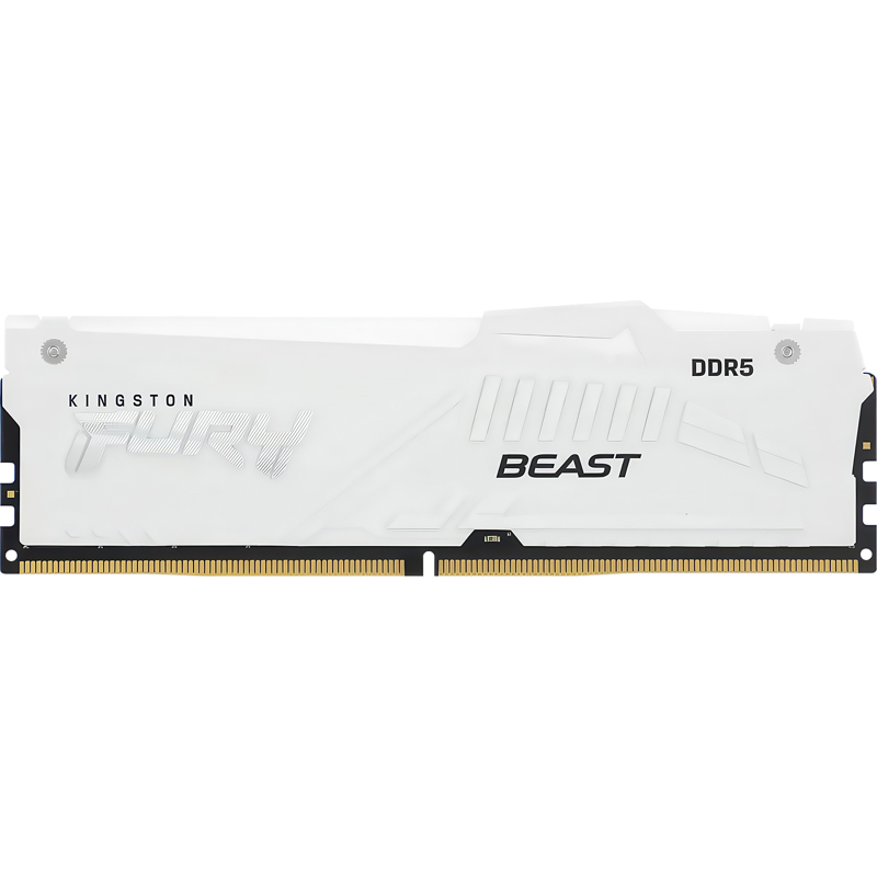 Kingston FURY Beast KF560C36BWEA-32
