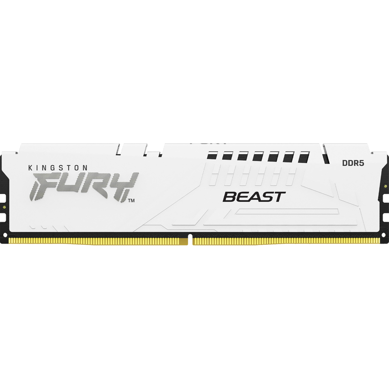 Kingston FURY Beast KF552C40BWK4-128
