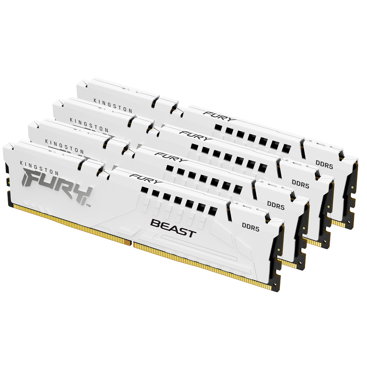 Kingston FURY Beast KF552C40BWK4-128