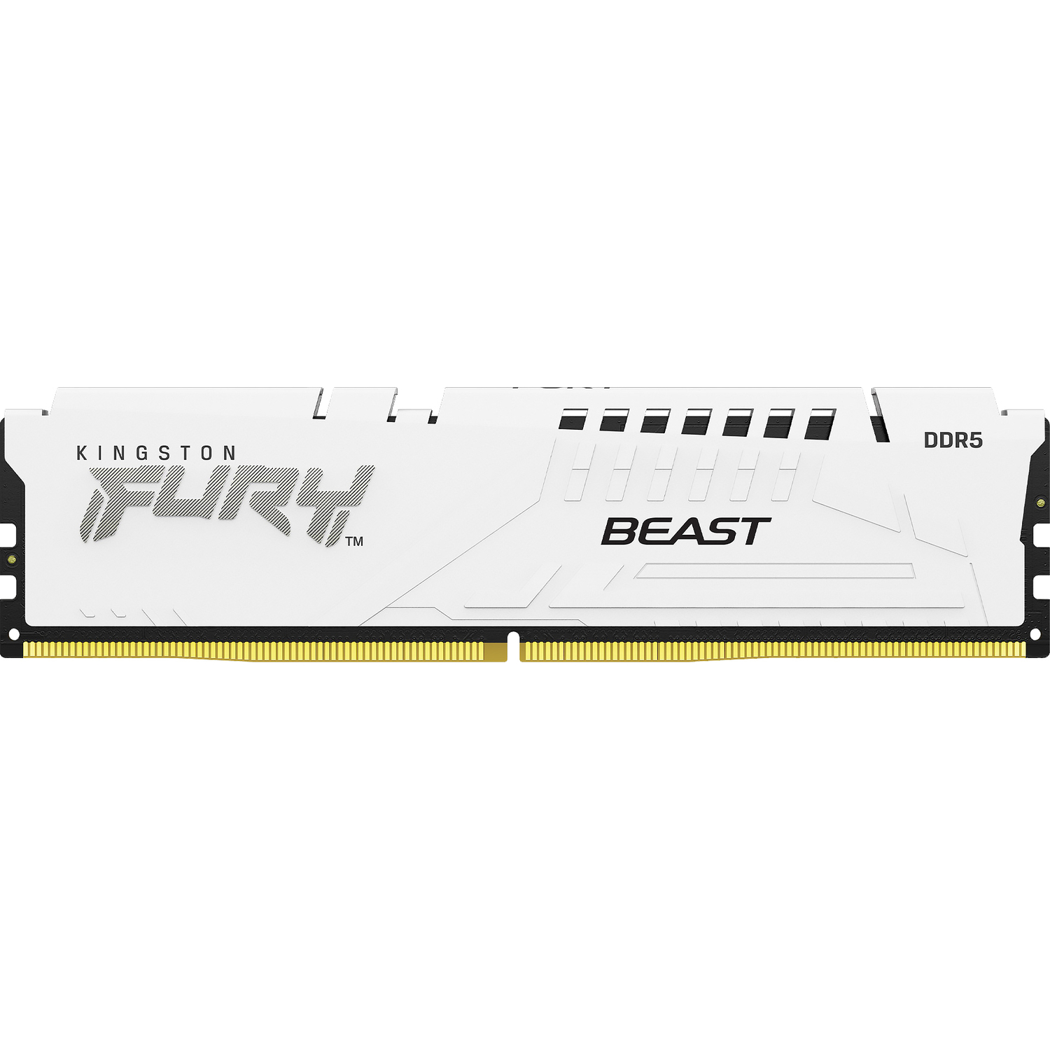 Kingston FURY Beast KF552C40BWK4-128