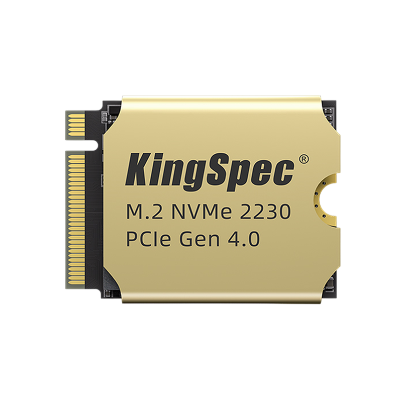 Kingspec XF-512 2230