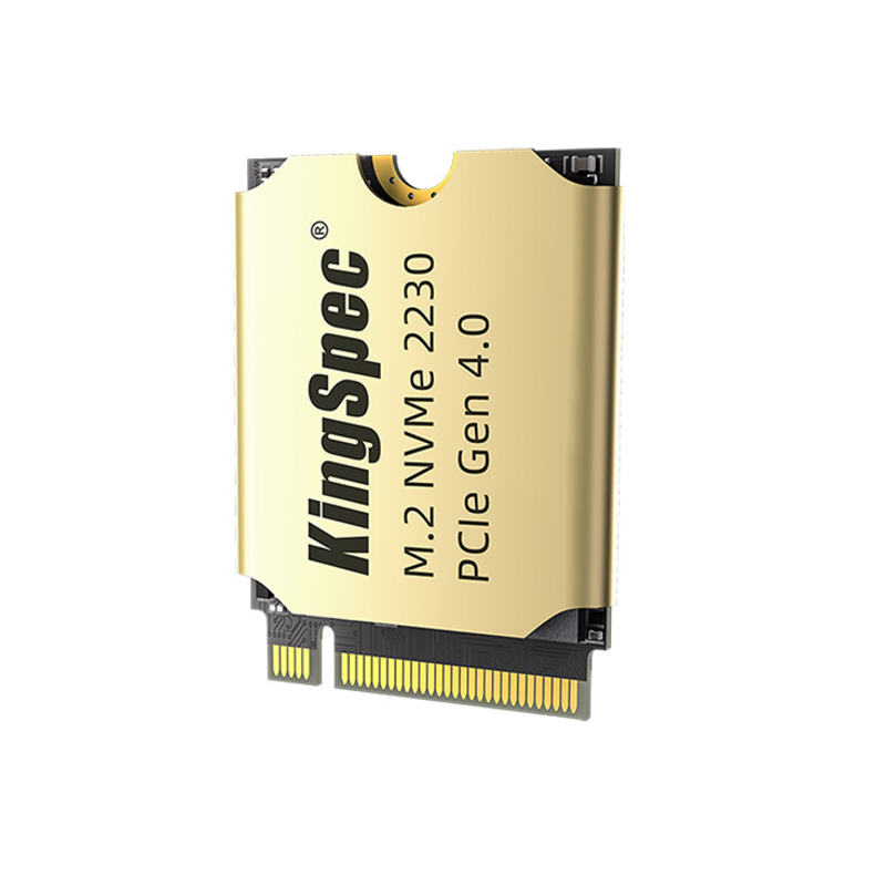 Kingspec XF-512 2230