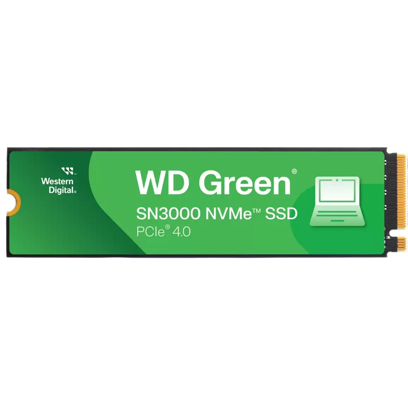 WD WDS100T4G0E