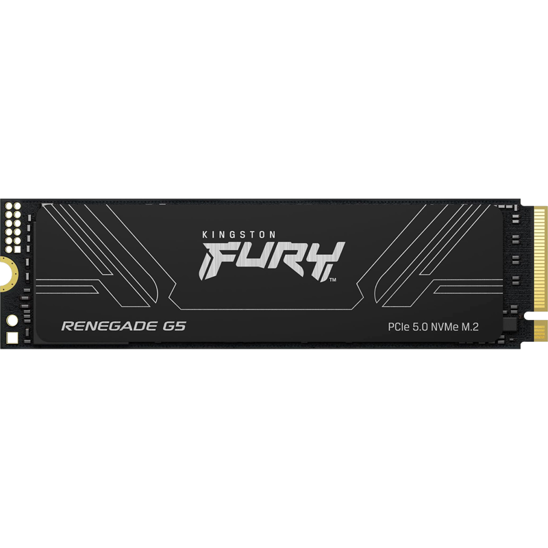 Kingston Fury Renegade SFYR2S/1T0