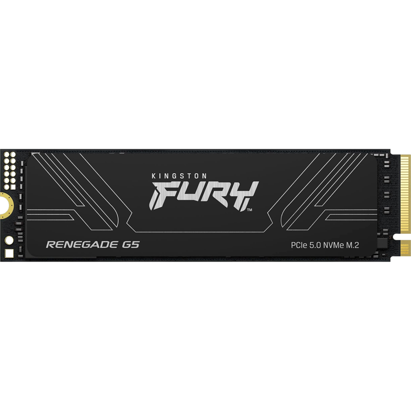 Kingston Fury Renegade SFYR2S/2T0