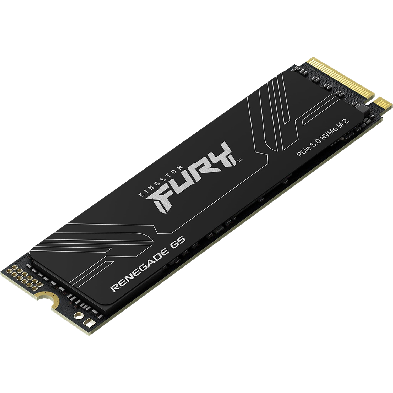 Kingston Fury Renegade SFYR2S/2T0