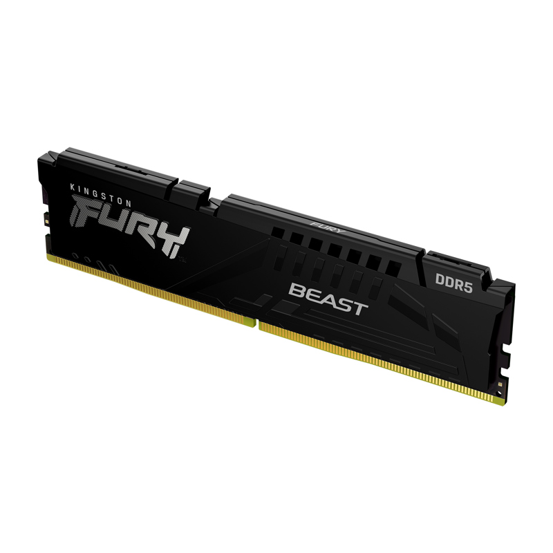 Kingston KF556C36BBE2-32