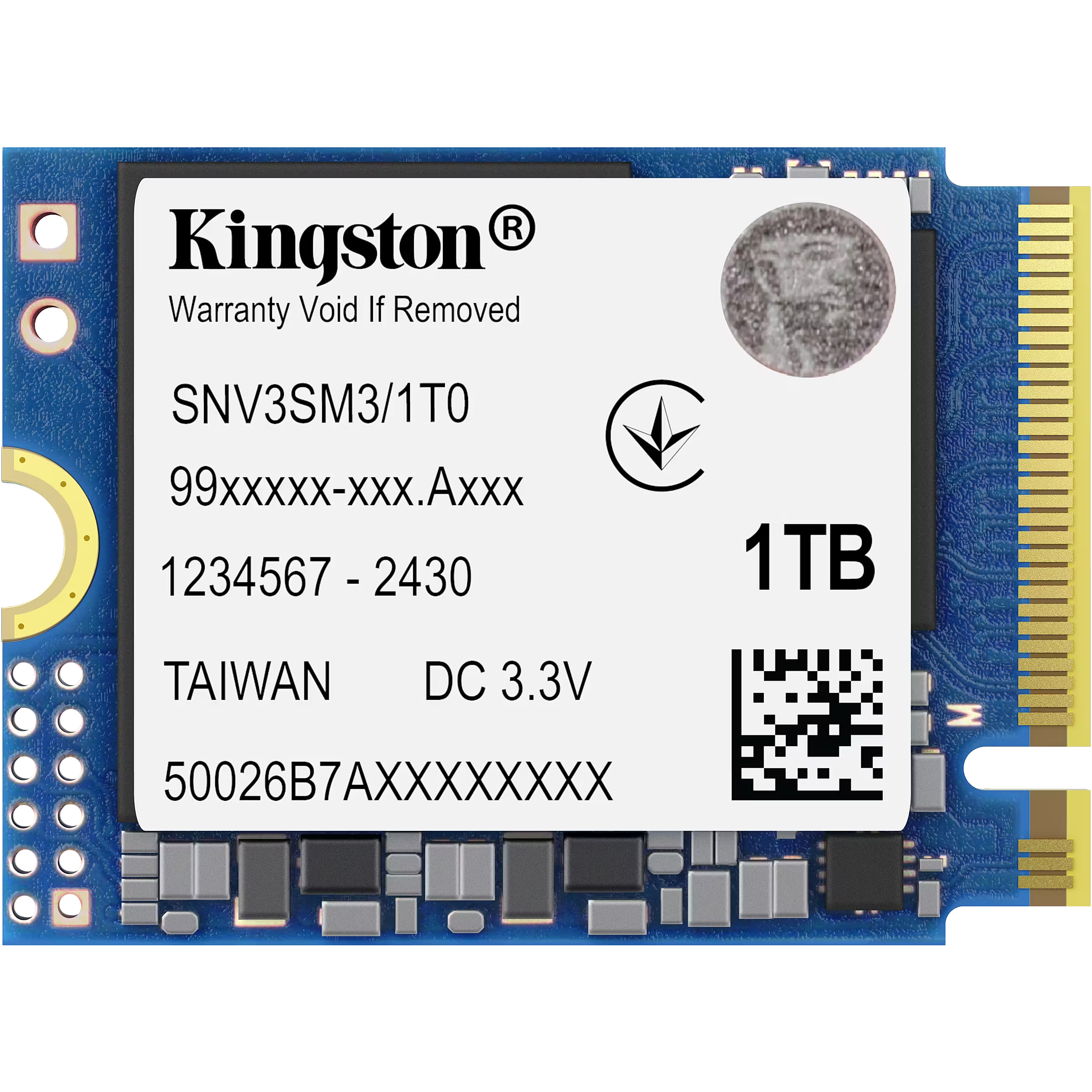 Kingston SNV3SM3/1T0