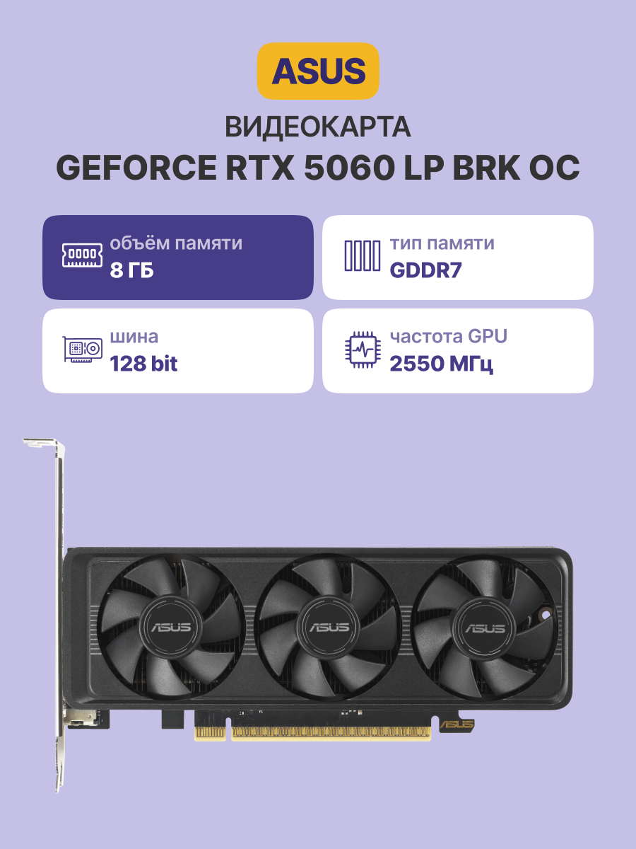 ASUS RTX5060-O8G-LP-BRK (90YV0N90-M0NA00)