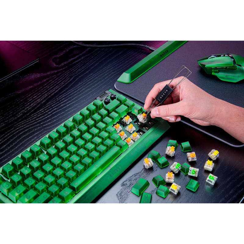 Razer RZ03-05003300-R3M1