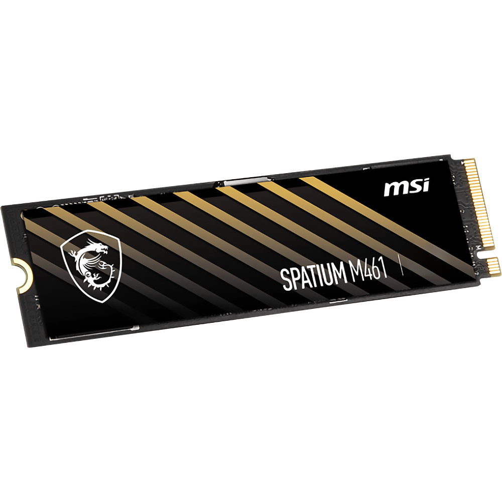 MSI SPATIUM M461 (S78-440L1D0-P83)